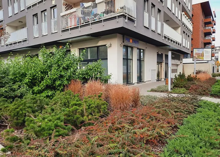 Port Mieszczanski Parking Gratis